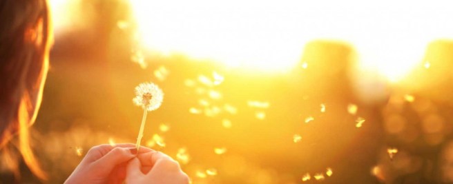 hope-and-happiness-1024x418