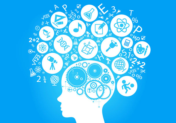 you are not your brain